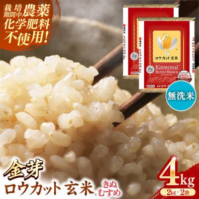 ふるさと納税 安来市 金芽ロウカット玄米 島根県産 きぬむすめ 4kg(2kg×2袋)