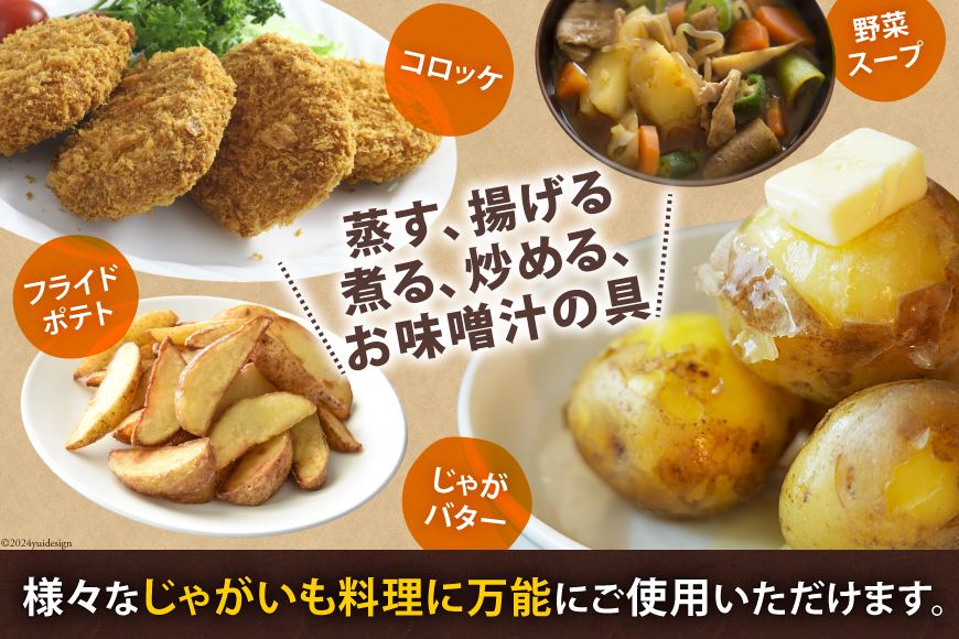 【期間限定発送】 じゃがいも なんぐしデジマ 秋作 5kg 大きめサイズ [なんぐしデジマプロジェクトチーム 長崎県 雲仙市 item1910] ジャガイモ 野菜 秋じゃが 秋じゃがいも 5キロ 期間