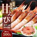 【ふるさと納税】【無添加】大サイズ 船凍 甘えび（卵なし）500g / 30尾前後【マイマルシェ 敦賀 アマエビ 甘エビ 海鮮 刺身 寿司 生 生食 冷凍 急速冷凍 お中元 お歳暮 ギフト 贈り物 プレゼント NEW 新規】