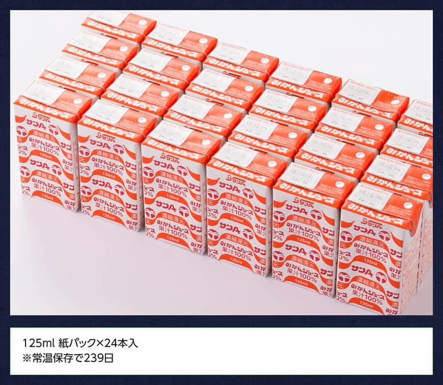 サンA みかんジュース100% 125ml 紙パック24本入り 【 ふるさと納税 飲料 オレンジ ジュース みかん ミカン 温州みかん 紙パック 送料無料 】 [C03041]