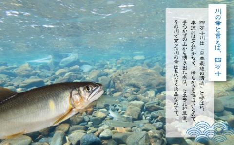 【4回定期便】鮎づくし！清流四万十川で育った天然鮎の定期便