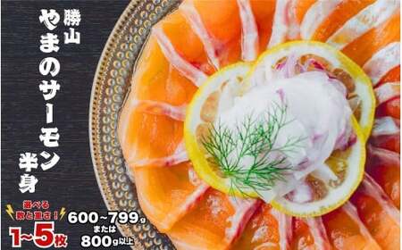 勝山 やまのサーモン 半身 冷凍  ※600～799ｇ以上×3枚 [D-050003]