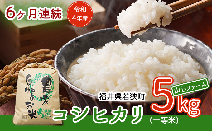 
【6ヶ月連続】令和4年産福井県若狭町コシヒカリ（一等米）5kg（山心ファーム） [№5580-0540]
