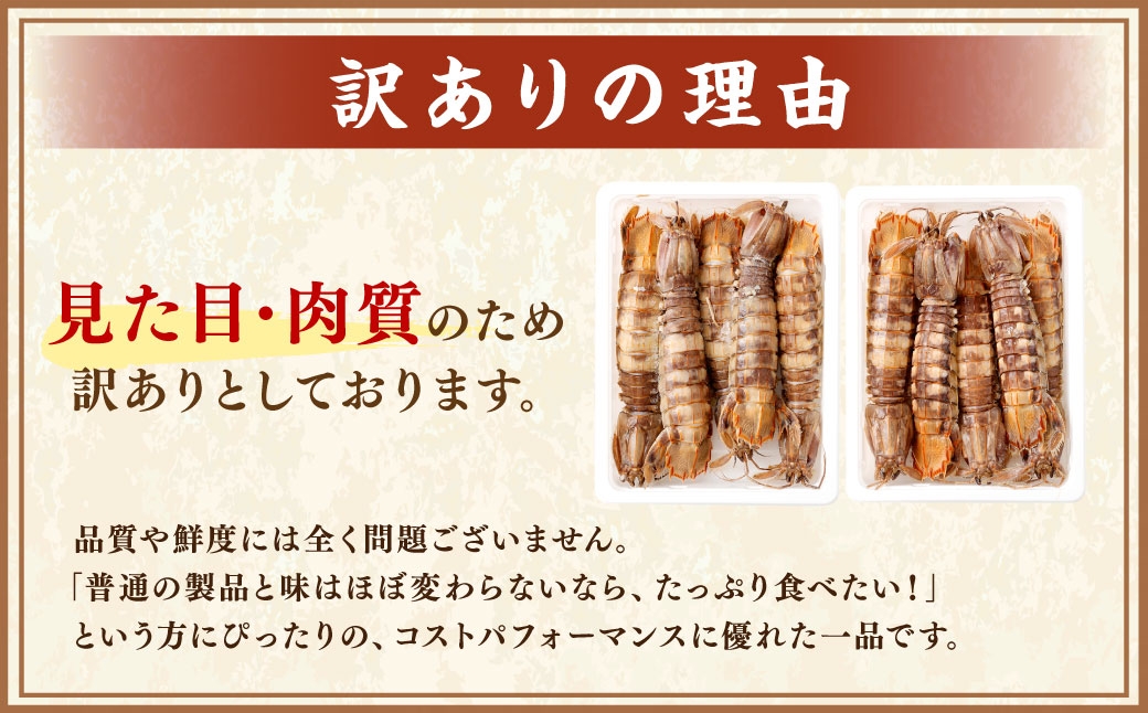 浜茹でしゃこ 訳あり10尾