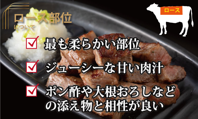 佐賀牛ロースステーキ（600g） 佐賀牛 ステーキ 厚切り サーロイン 合計600g 牛肉 国産 お肉 ブランド牛  送料無料 A5～A4 ブランド牛 ステーキ 焼肉 人気 ランキング 高評価 佐賀県