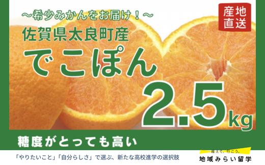 
            【佐賀県太良産】山本農園『でこぽん 2.5kg』（3月中旬～5月上旬出荷予定）
          