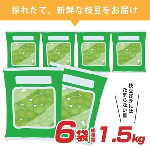 SA2922　庄内ちゃまめ　計1.5kg(250g×6袋)