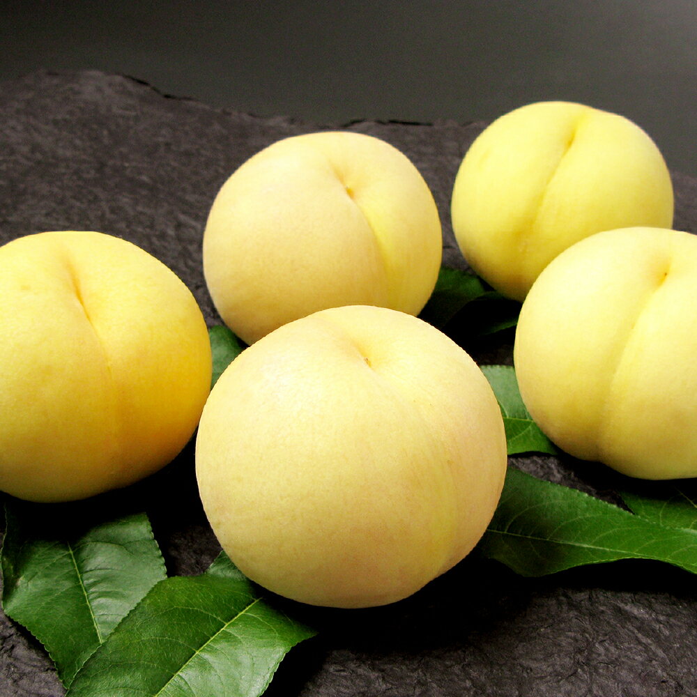 【ふるさと納税】岡山 清水白桃 5～7玉（合計1.5kg以上） 白桃 桃 もも モモ フルーツ 果物 果実 くだもの 有袋栽培 冷蔵 岡山県産 国産 岡山県 倉敷市 送料無料 【2026年7月上旬～7月下旬迄順次発送予定】