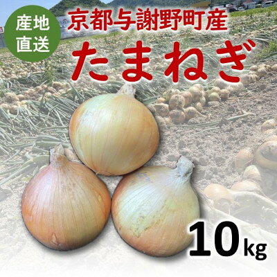 【ふるさと納税】【期間限定】 玉ねぎ 約10kg　京都与謝野町のこだわり栽培たまねぎ　【AGRIST】【1754650】