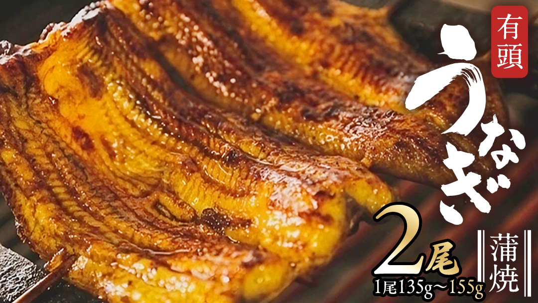 鹿児島県産 有頭 鰻 蒲焼 × 2尾 （ 1尾 135g ～ 155g 以上） 土用の丑の日 鰻祭り うなぎ ウナギ 土用丑の日 家庭用 贅沢 国産 旬 敬老の日 タレ 山椒 付 縁起