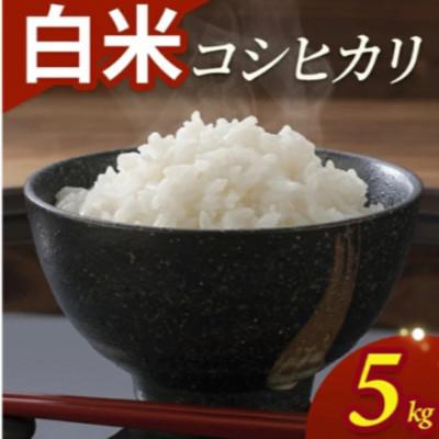 ふるさと納税 酒田市 コシヒカリ　5kg　精米