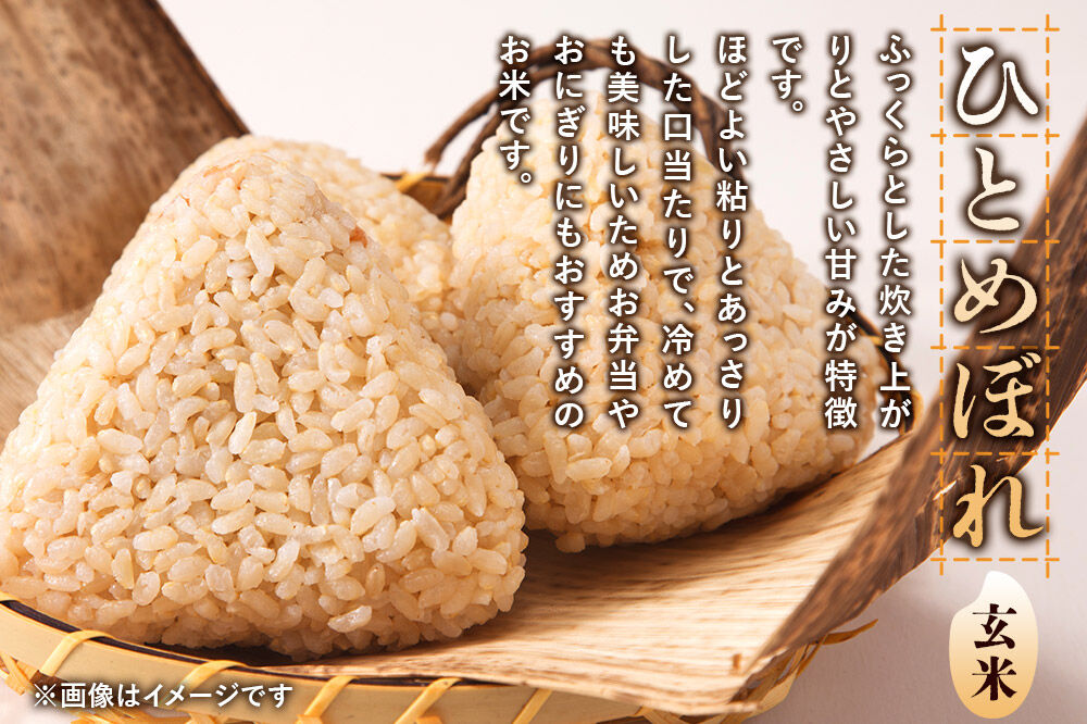 《令和8年産 新米受付》《定期便12ヶ月》【玄米】極上秋田銘柄米 ひとめぼれ 5kg [米 お米 こめ 玄米 ひとめぼれ ブランド米 銘柄米 食卓 おにぎり 秋田県産 秋田県 由利本荘市]