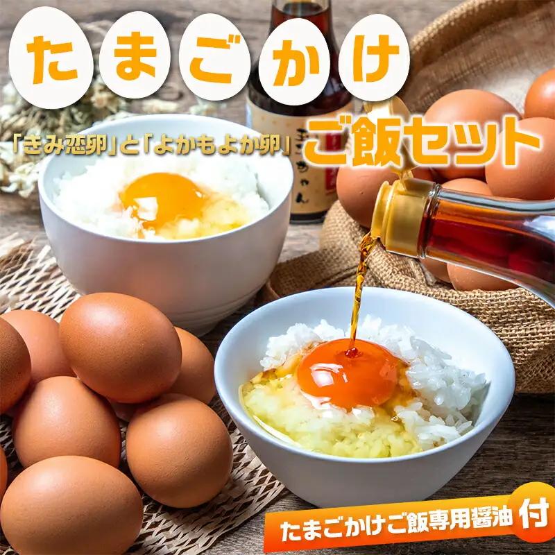 「きみ恋卵」と「よかもよか卵」のたまごかけご飯セット〔AO-29-002〕_(都城市) きみ恋卵 よかもよか卵 Ｍサイズ たまごかけご飯専用醤油「玉子ちゃん」 甘口 卵かけご飯 朝ごはん 朝食