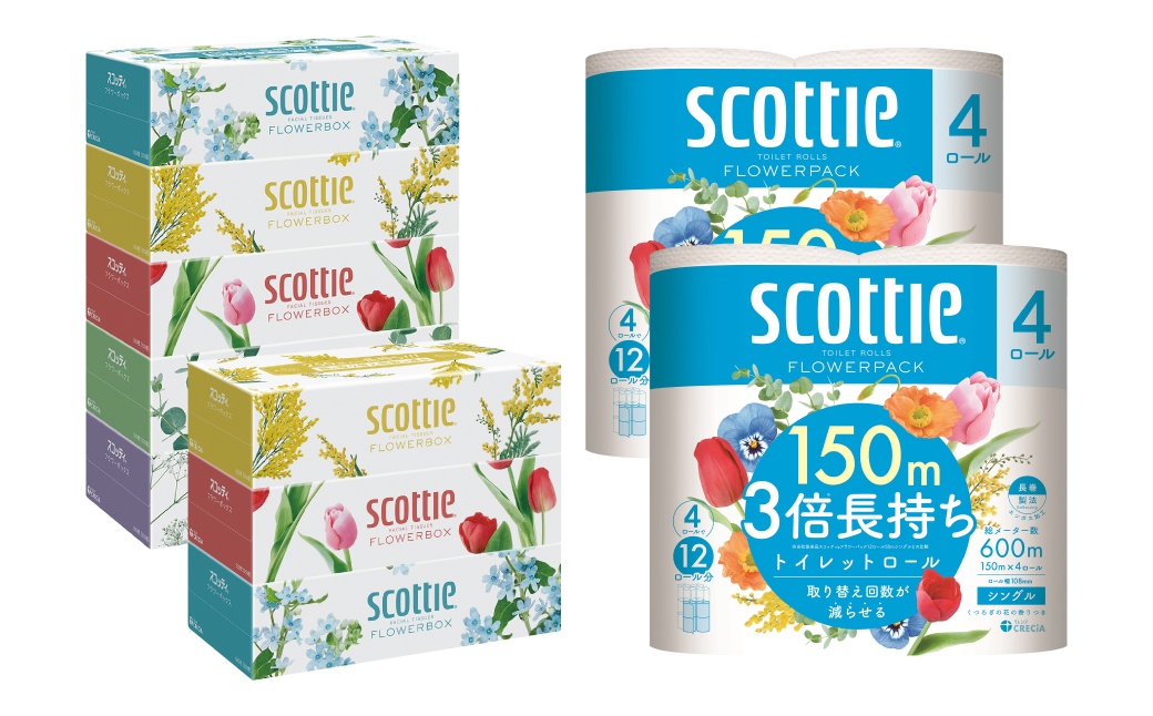 【定期便3回】【毎月1回お届け】【スコッティ】ティシュー フラワーボックス 250組（5箱パック×1セット・3箱パック×1セット）＋フラワーパック 3倍長持ち（4ロール(シングル)パックx2セット）ティッシュ トイレットペーパー 日用品