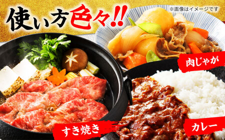 飛騨牛 切り落とし500g(250g×2) A5飛騨牛【マルゴー】[MBE002]