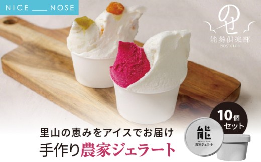 【能勢倶楽部ジェラート工房 】農家ジェラート10個セット 里山の恵みをアイスでお届け | ジェラート アイス アイスクリーム スイーツ デザート おやつ 手作り | 農家直送 旬 季節限定 ミルク 詰め合わせ お取り寄せ ギフト | 大阪府 能勢町 送料無料
