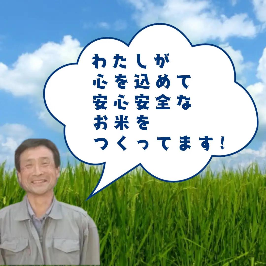 【令和8年産新米予約】【3か月定期便】JAS有機認証米 コシヒカリ 5kg×3回 新潟県 米 こめ コメ 白米 精米 さいとう農園 新米 新米予約 令和８年度産10月中旬より順次発送 1G05056