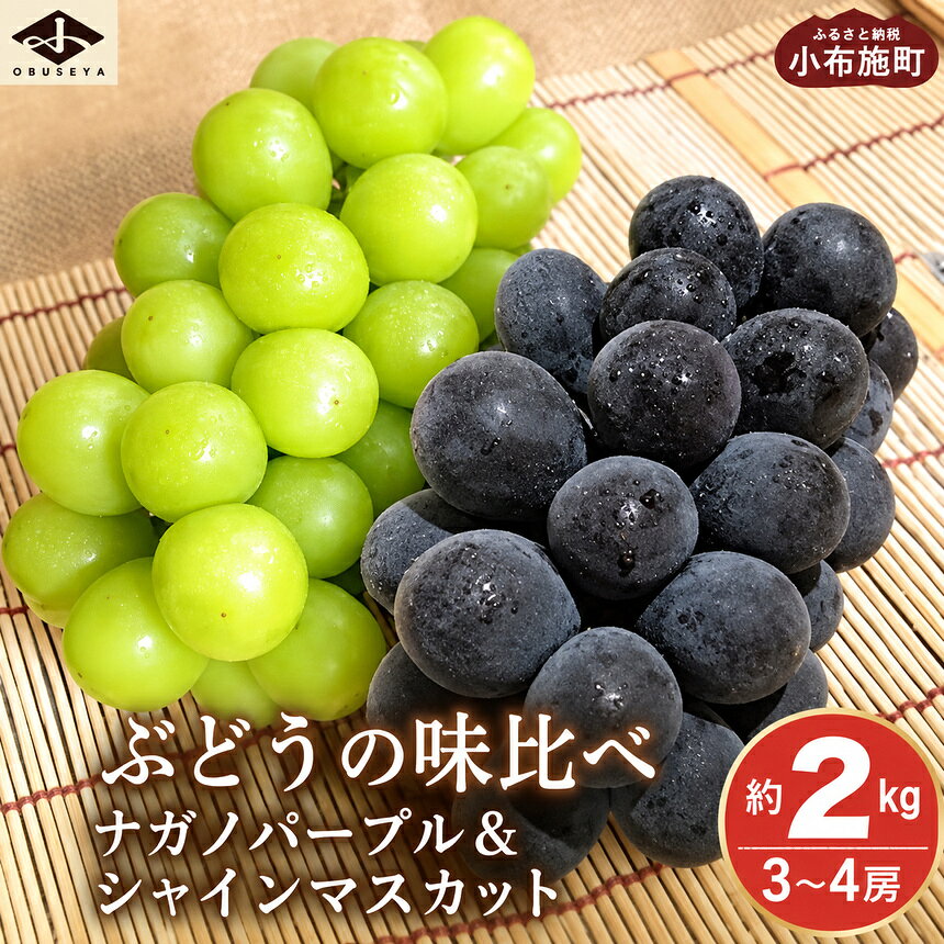 【ふるさと納税】 ぶどう 約2kg 3～4房 シャインマスカット ナガノパープル 長野県産 食べ比べ 種なし 皮ごと食べられる 2品種 詰め合わせ セット 果物 フルーツ 葡萄 信州産 小布施町 小布施屋 冷蔵便 令和8年産 2026年9月中旬～11月発送予定 家庭用 デザート