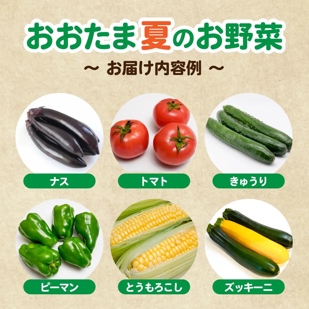 野菜セット 野菜 10種類前後 数量限定