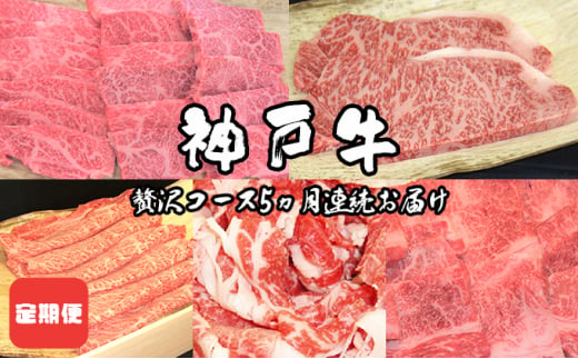 
定期便 神戸牛 贅沢コース 5ヵ月連続お届け[ 肉 食べ比べ すき焼き ステーキ 焼肉 切落し 牛肉 ]
