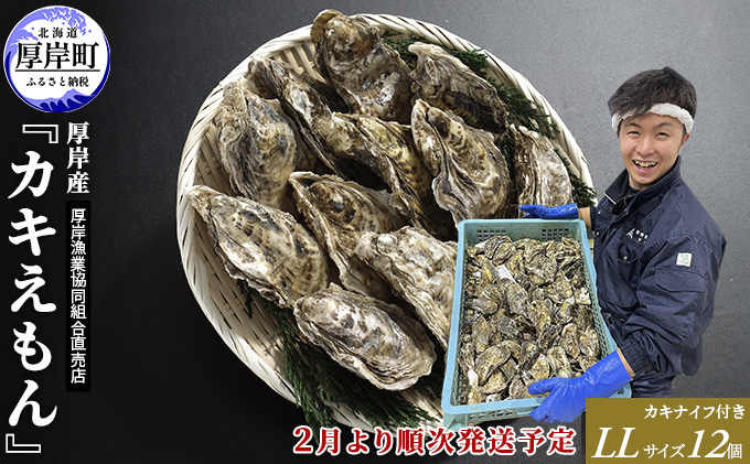 2026年2月発送 厚岸産 ブランドかき カキえもん LLサイズ 12個 魚貝類 海鮮 海の幸 生牡蠣 生食用 生食用牡蠣 オイスター 厚岸産カキえもん 殻かき 