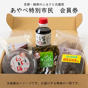 会員券 あやべ特別市民制度 ［BSEL001］