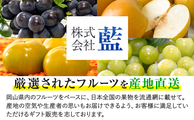 【先行予約】ぶどう紫苑 約 600g 1房 【配送不可地域あり】（北海道・沖縄・離島） 株式会社藍《2026年11月上旬-12月上旬頃出荷》 岡山県 浅口市 岡山県産 ぶどう フルーツ 果物 くだもの