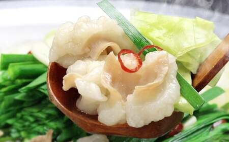 博多 もつ鍋 セット （九州 醤油 仕立て） 2～3人前 国産 牛もつ 300g 博多もつ鍋 国産牛 もつなべ 鍋 鍋セット 牛 もつ モツ 小腸 牛ホルモン ちゃんぽん麺 醤油スープ 福岡県 嘉麻市