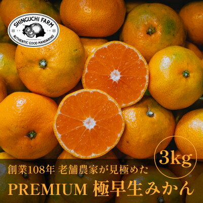 【ふるさと納税】老舗農家が見極めたプレミアム【極早生みかん】3kg/5kg/10kg 愛媛県川上産【新口農園】_ みかん ミカン 蜜柑 極早生みかん 極早生 果物 くだもの フルーツ デザート おいしい かんきつ 柑橘 柑橘類 国産 愛媛 愛媛県 八幡浜市 【G1615054】