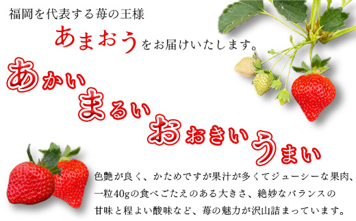 【2025年2月下旬～順次発送予定】福岡県産 あまおう 合計約1,080g 約270g×4パック【配送不可地域：離島】