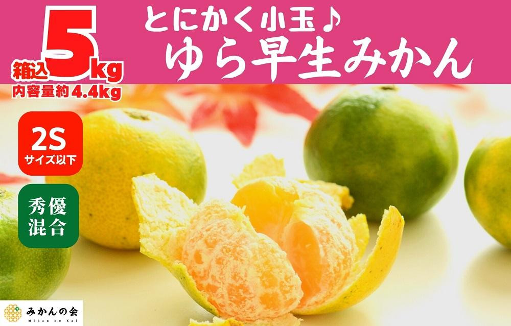 
ゆら早生 みかん 小玉ちゃん 箱込5kg(内容量 4.4kg) 2Sサイズ以下 秀優混合 有田みかん 和歌山県産 【みかんの会】
