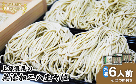 上原農場の無添加二八生そば6人前 340g(めん240g+つゆ50g×2)×3袋 生蕎麦 蕎麦 そば 麺 無添加 ルチン ポリフェノール 上原農場そば粉 農林水産大臣賞受賞 ふるさと納税 北海道 中標津町 中標津【3000401】