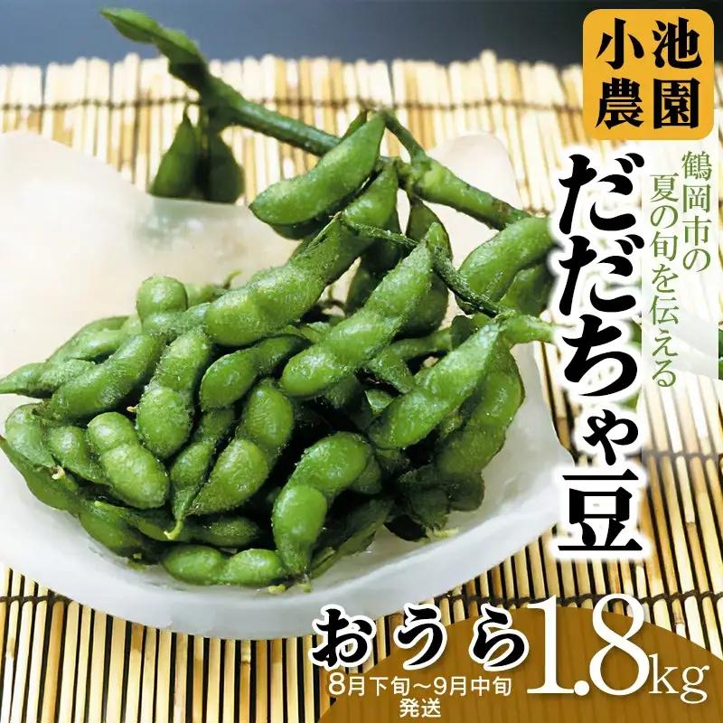 【令和8年産先行予約】【鶴岡の夏の旬を伝える】 小池農園のだだちゃ豆 【おうら】 1.8kg（600g×3袋）K-832