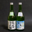 【ふるさと納税】高知酒造純米吟醸セット2本入り 仁淀川 瀧嵐 送料無料 おすすめ