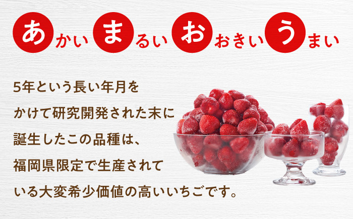 訳あり品 冷凍いちご「博多あまおう」1kg（加工用）  