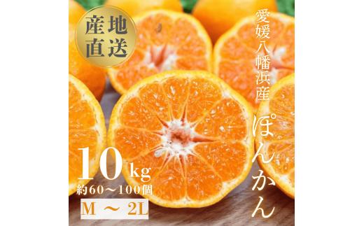 国安さんちの愛媛ポンカン10kg＜D20-4＞【1094581】 YWTI004