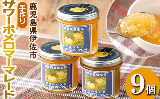 
                  isa552 《数量限定》手作りはちみつ入りサワーポメロマーマレード(計9個・各140g) ふるさと納税 伊佐市 特産品 加工食品 果物 フルーツ 詰め合わせ 果肉 柑橘 低糖 ハンドメイド ジャム ギフト 【薩摩美食倶楽部】
                