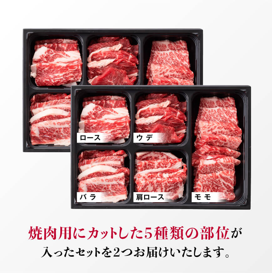  【令和7年2月発送】黒毛和牛5種盛り焼肉セット（数量限定）600g 肉 牛肉 国産牛肉 牛 宮崎県産牛肉 牛 黒毛和牛 牛 ミヤチク牛肉 BBQ バーベキュー 送料無料牛肉 牛肉 [D0638r70