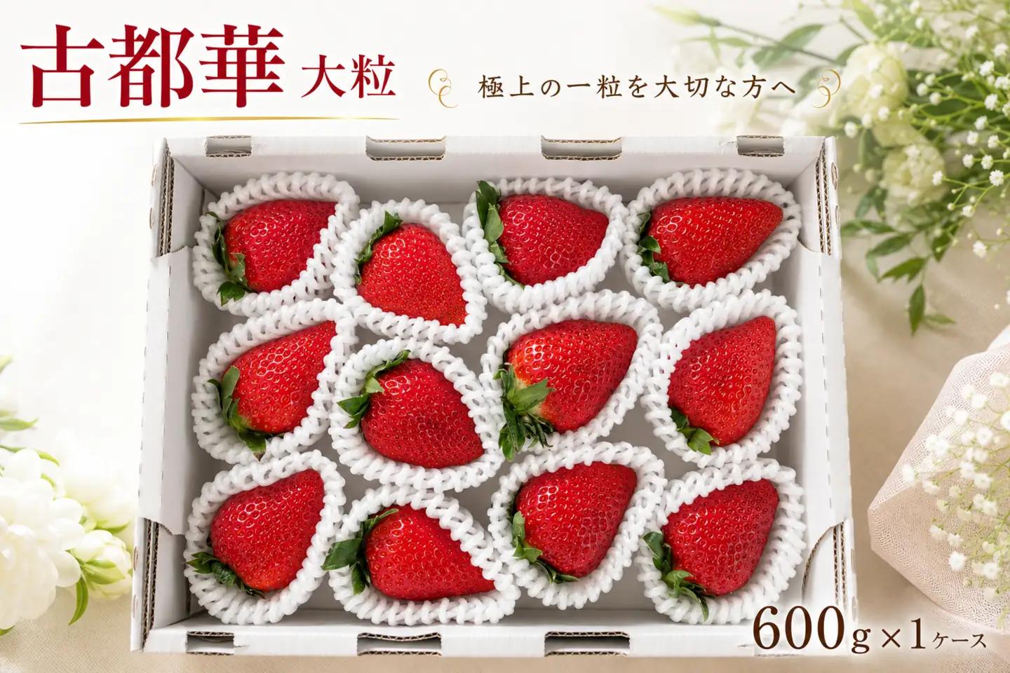 【2027年2月～発送】和だや　大粒　期間限定（２月よりなくなり次第終了）古都華