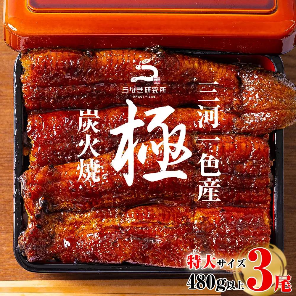 【期間限定】三河一色産うなぎ蒲焼特大3尾(計480g以上)・R008-24