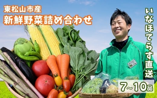 季節の野菜詰合せセット 7~10品 | 野菜 野菜セット 詰め合わせ 季節 旬 新鮮野菜 かぶ レタス キャベツ のらぼう菜 トマト オクラ 玉ねぎ ニンニク きゅうり ナス ニンジン ネギ ズッキーニ インゲン バラエティ バラエティーセット おいしい 美味しい うまい 旨い 自然 東松山市 埼玉県