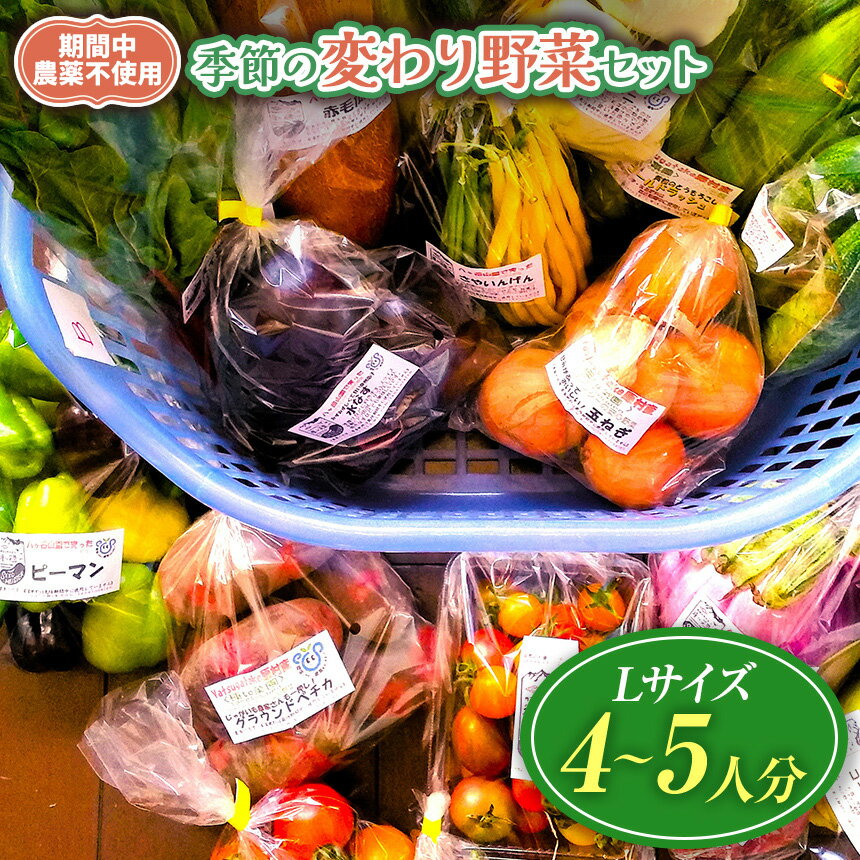 【ふるさと納税】【栽培期間中農薬不使用・無化学肥料・無家畜性肥料で育てた】 季節の 変わり野菜セット ( Lサイズ )【2026年7月下旬～発送】| 旬 野菜 珍しい 10種類 4～5人分 セット シードマイスター 農薬不使用 無化学肥料 無家畜性肥料 信州 八ヶ岳 長野県 諏訪郡 原村