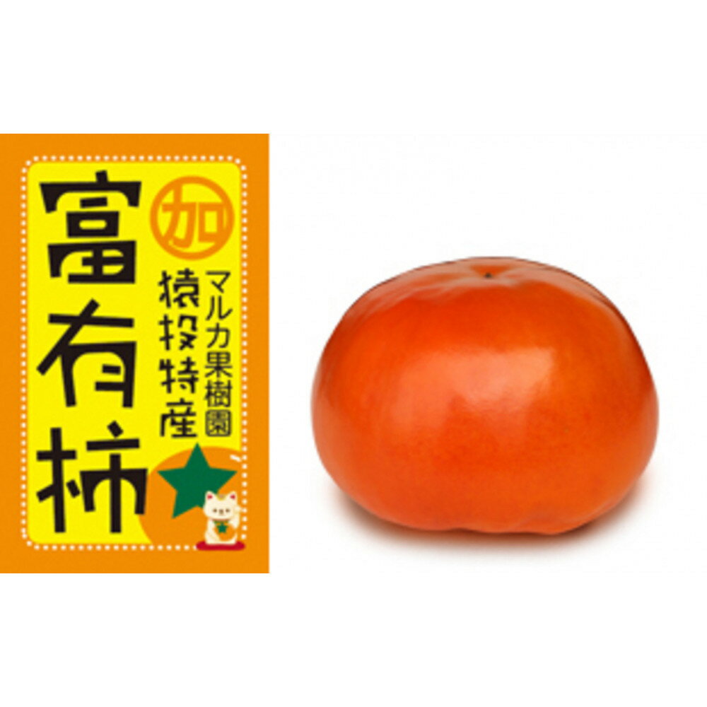 【ふるさと納税】＜先行受付＞富有柿　約4.4kg【2026年11月上旬以降順次発送】 | フルーツ 果物 くだもの 食品 人気 おすすめ 送料無料