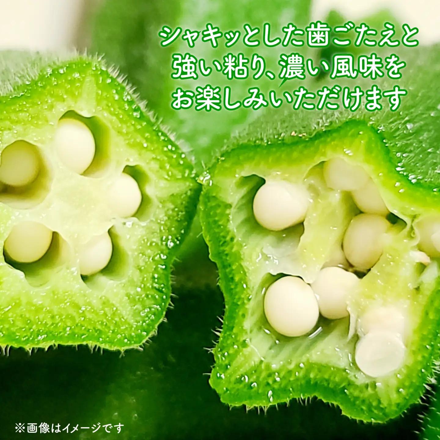 オクラ 500g オクラ