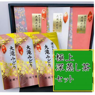 ふるさと納税 錦江町 【新茶受付開始】 問屋も認めた深蒸し茶セット(No.3011-1)