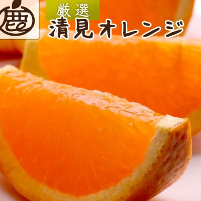 厳選 清見5kg+250g(傷み補償分)【光センサー選果】【樹上完熟きよみオレンジ】【配送不可地域：離島・北海道・沖縄】【1649745】
