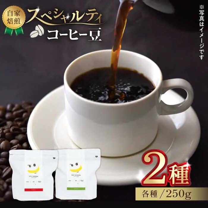 コーヒー[豆]自家焙煎スペシャルティコーヒー豆(250g×2種)約40杯分ZCJ015