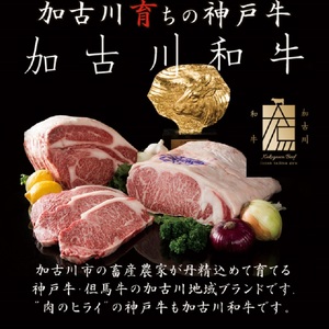 神戸牛厚切りランプステーキ 200g×2枚《 肉 牛肉 牛 神戸牛 国産牛 ステーキ ステーキ肉 ランプ 美味しい プレゼント ギフト 人気 送料無料 返礼品 お取り寄せ おすすめ》