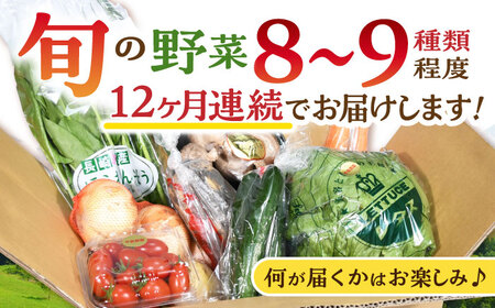 野菜 12回定期便  諫早産野菜の詰め合わせ 8・9品目程度 [AHDI003]