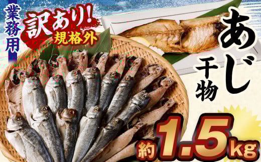 【訳あり規格外】  業務用 あじ 干物 どーんと！ 1.5kg アジ 鯵 魚